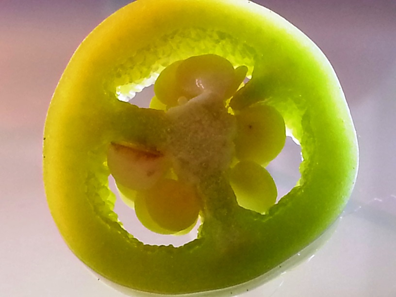 Smartphone MAcro Yellow Chilli Slice