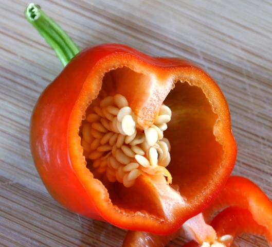 Cajun Belle Chilli Open