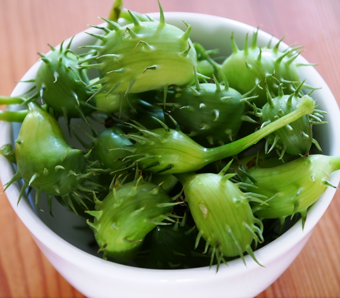 Bowl of Exploding Cucumbers