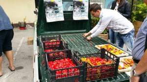 Cili.si at Lepa Zoga cili fest