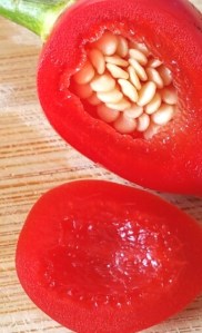 Barra do Ribiero Sliced close web